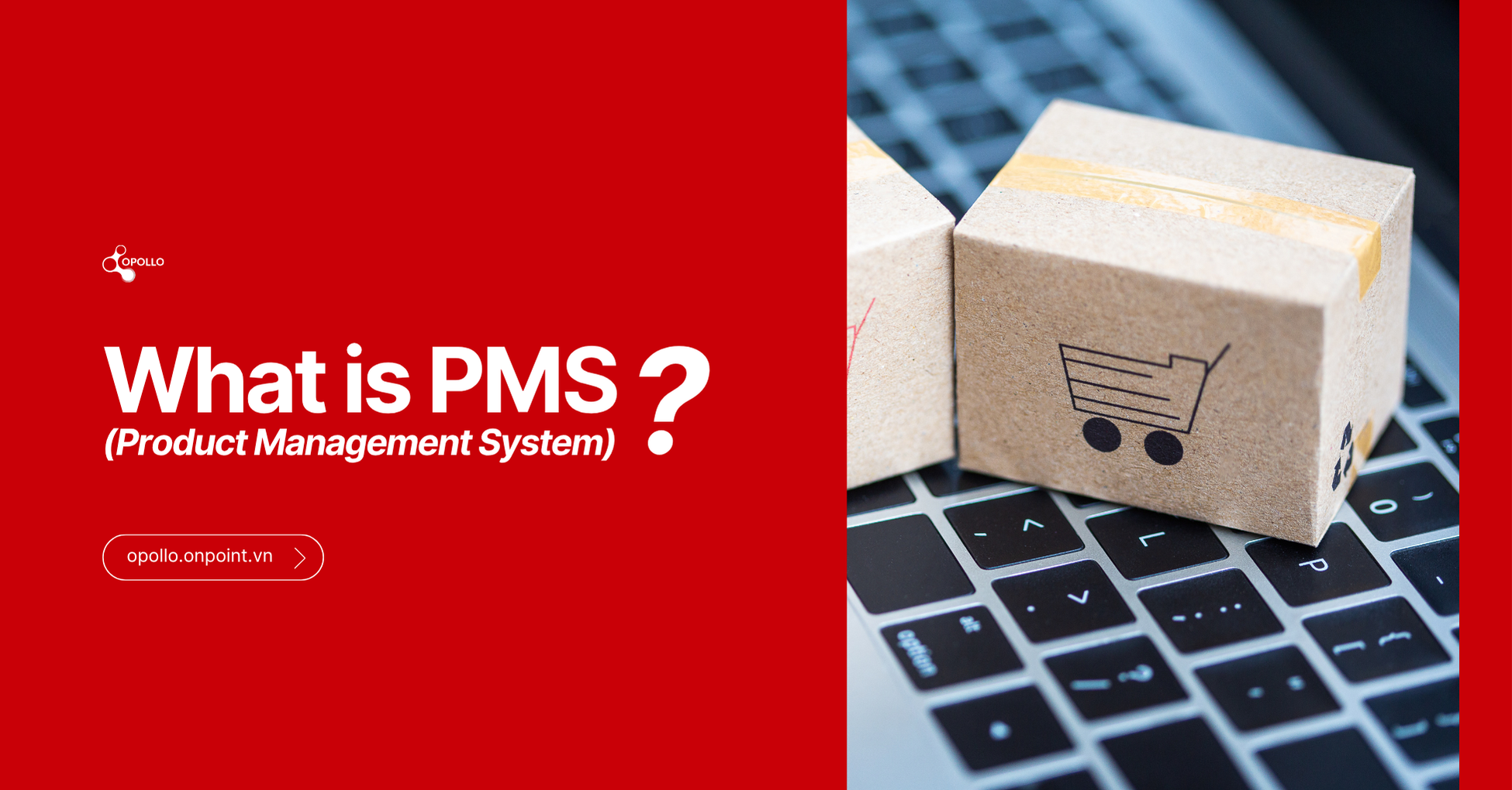 What is a PMS in Business? (Product Management System Explained)